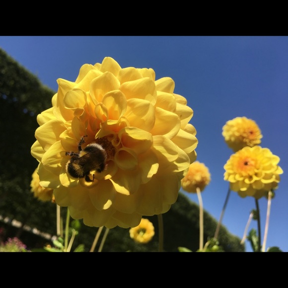 Meet your Posher, Dm - Picture 1 of 1